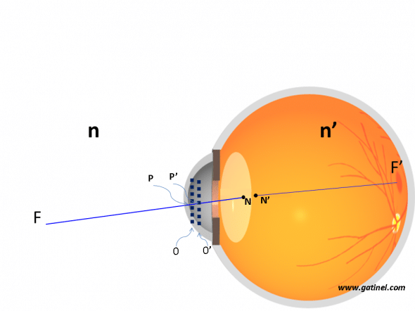 Représentation de la position des points nodaux de l'oeil humain