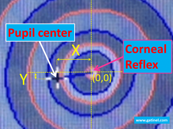 The center of the pupil defines the origin of a Cartesian domain in which the pupil center coordinates can be computed.The corneal reflex ("Apex") is a fixed landmark, wheras the pupil center can shift with pupil movements.