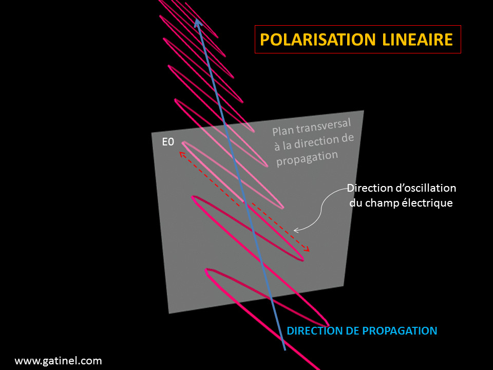 Différence entre lunettes de soleil polarisées et non-polarisées