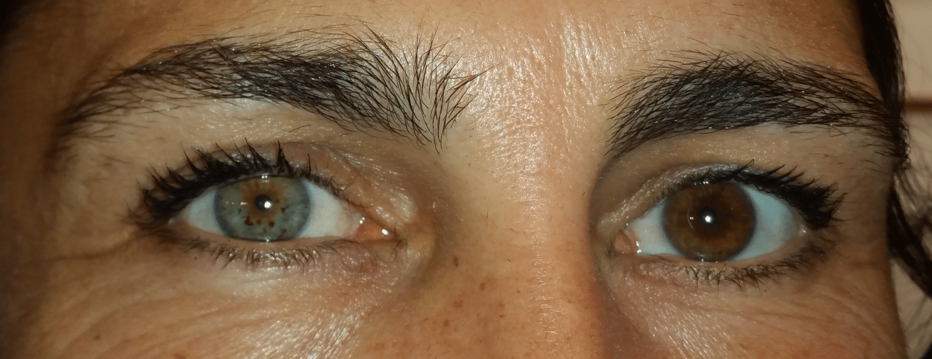 Grands yeux et nez de sécurité pour amigurumi yeux en - Temu Belgium